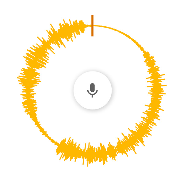 Voice Spinner preview